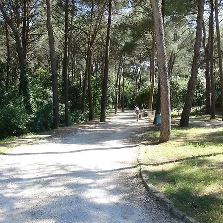 Amalia Rovinj