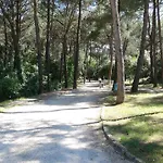 Amalia Rovinj